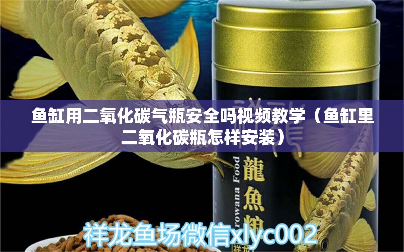 魚缸用二氧化碳?xì)馄堪踩珕嵋曨l教學(xué)（魚缸里二氧化碳瓶怎樣安裝） 觀賞魚批發(fā)