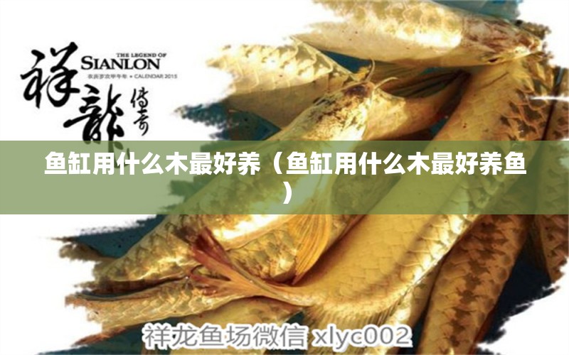 魚缸用什么木最好養(yǎng)（魚缸用什么木最好養(yǎng)魚） 其他品牌魚缸