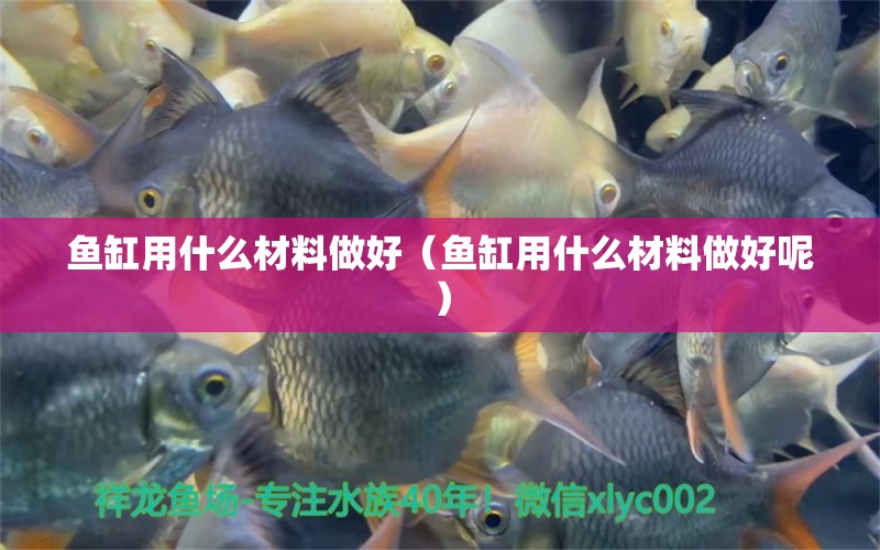 魚缸用什么材料做好（魚缸用什么材料做好呢） 斯維尼關(guān)刀魚