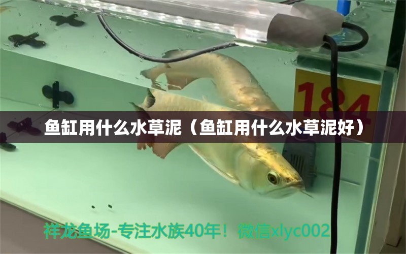 魚(yú)缸用什么水草泥（魚(yú)缸用什么水草泥好）