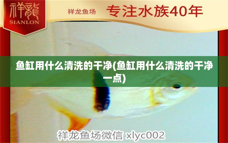 魚(yú)缸用什么清洗的干凈(魚(yú)缸用什么清洗的干凈一點(diǎn))