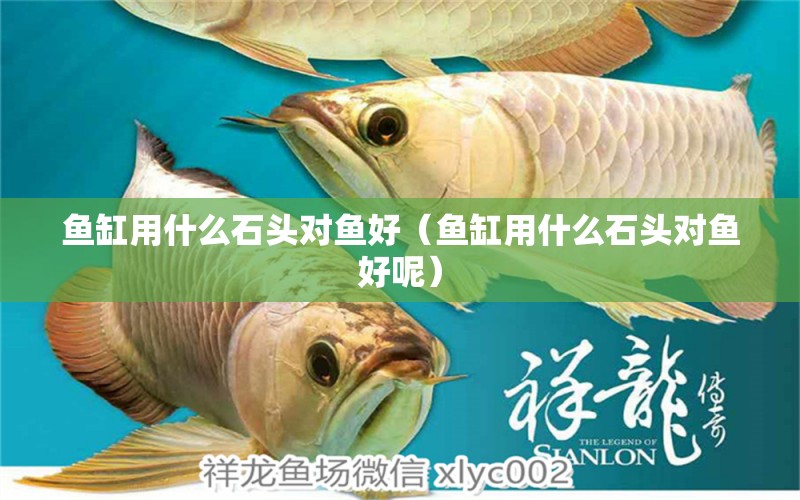 魚(yú)缸用什么石頭對(duì)魚(yú)好（魚(yú)缸用什么石頭對(duì)魚(yú)好呢） 其他品牌魚(yú)缸