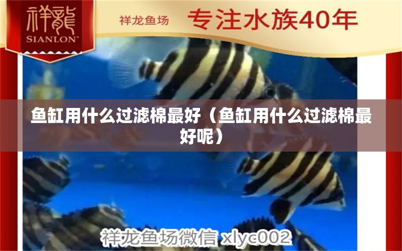 魚(yú)缸用什么過(guò)濾棉最好（魚(yú)缸用什么過(guò)濾棉最好呢） 銀龍魚(yú)苗