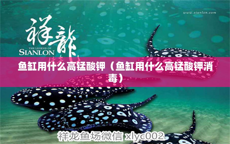 魚缸用什么高錳酸鉀（魚缸用什么高錳酸鉀消毒） 量子養(yǎng)魚技術(shù)