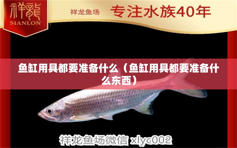 魚缸用具都要準(zhǔn)備什么（魚缸用具都要準(zhǔn)備什么東西） 觀賞魚市場（混養(yǎng)魚）