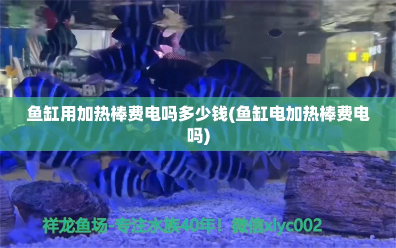 魚缸用加熱棒費電嗎多少錢(魚缸電加熱棒費電嗎) 照明器材