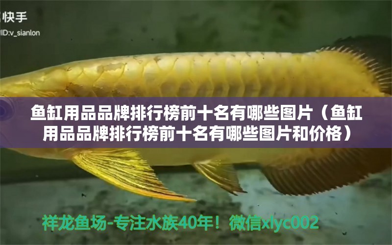 魚缸用品品牌排行榜前十名有哪些圖片（魚缸用品品牌排行榜前十名有哪些圖片和價格） 鐵甲武士