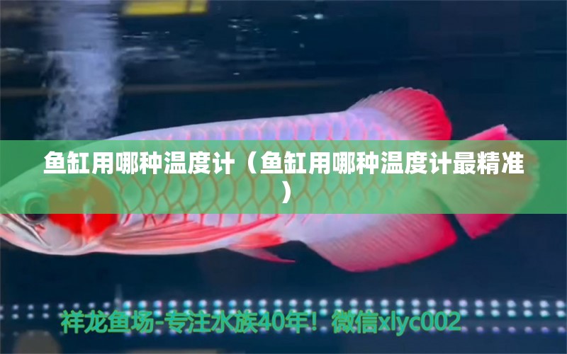 魚(yú)缸用哪種溫度計(jì)（魚(yú)缸用哪種溫度計(jì)最精準(zhǔn)）