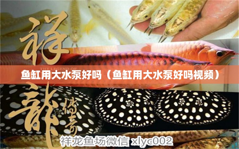 魚(yú)缸用大水泵好嗎（魚(yú)缸用大水泵好嗎視頻） 其他品牌魚(yú)缸