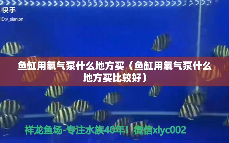 魚缸用氧氣泵什么地方買（魚缸用氧氣泵什么地方買比較好）