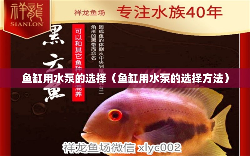 魚缸用水泵的選擇（魚缸用水泵的選擇方法） 祥龍魚藥系列