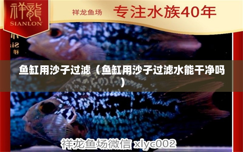 魚缸用沙子過濾（魚缸用沙子過濾水能干凈嗎）