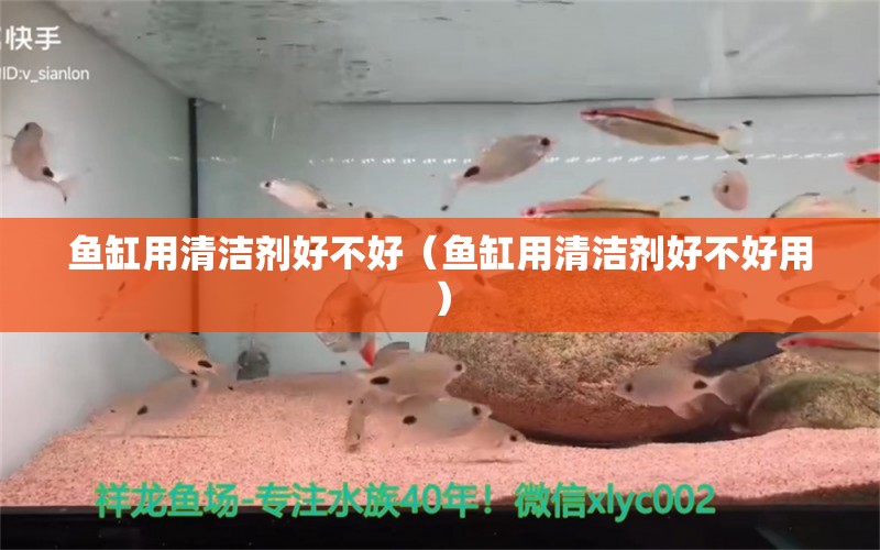 魚缸用清潔劑好不好（魚缸用清潔劑好不好用）