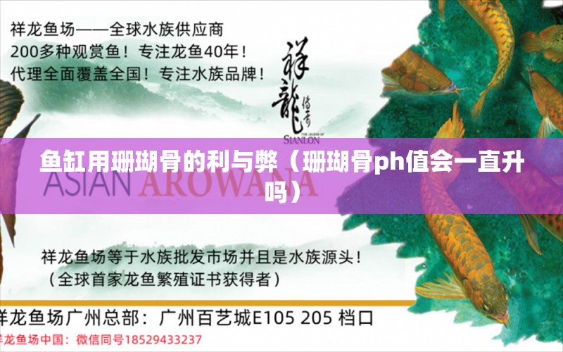 魚缸用珊瑚骨的利與弊（珊瑚骨ph值會一直升嗎） 其他品牌魚缸