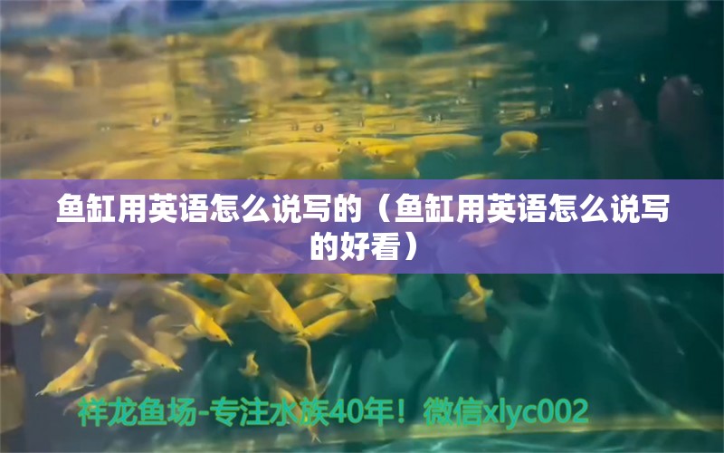 魚缸用英語怎么說寫的（魚缸用英語怎么說寫的好看）