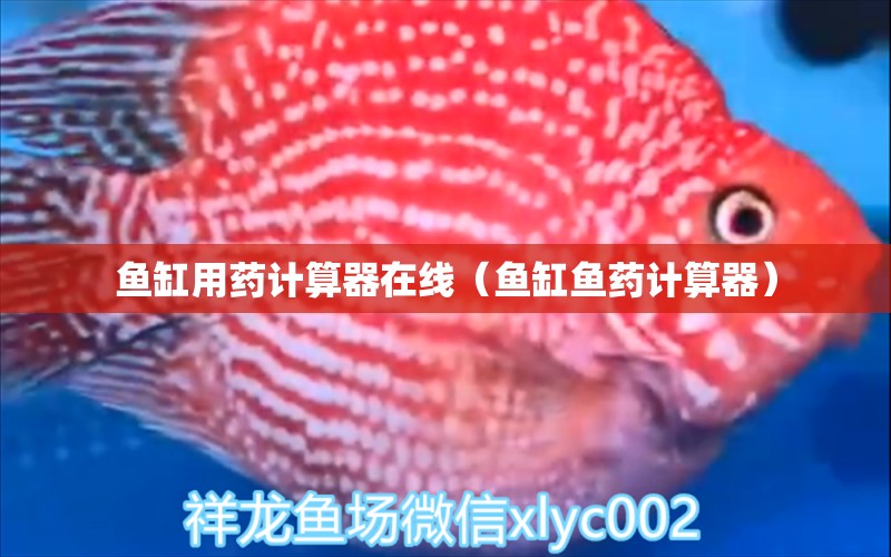 魚缸用藥計(jì)算器在線（魚缸魚藥計(jì)算器） 一眉道人魚