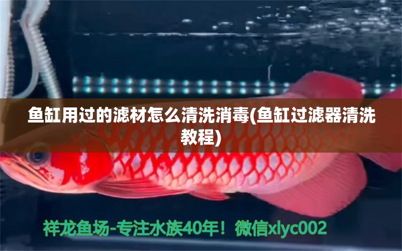 魚(yú)缸用過(guò)的濾材怎么清洗消毒(魚(yú)缸過(guò)濾器清洗教程) 虎魚(yú)百科