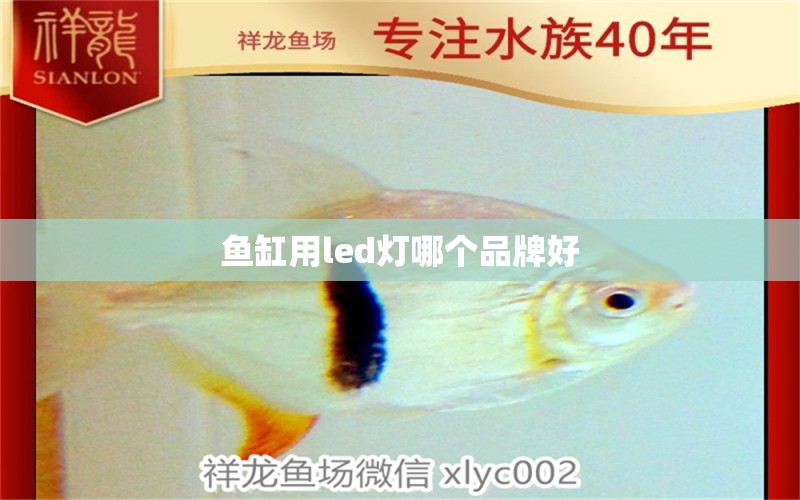 魚缸用led燈哪個品牌好