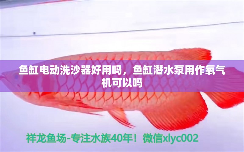 魚(yú)缸電動(dòng)洗沙器好用嗎，魚(yú)缸潛水泵用作氧氣機(jī)可以嗎 觀賞魚(yú)