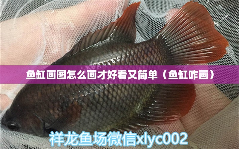 魚(yú)缸畫(huà)圖怎么畫(huà)才好看又簡(jiǎn)單（魚(yú)缸咋畫(huà)）