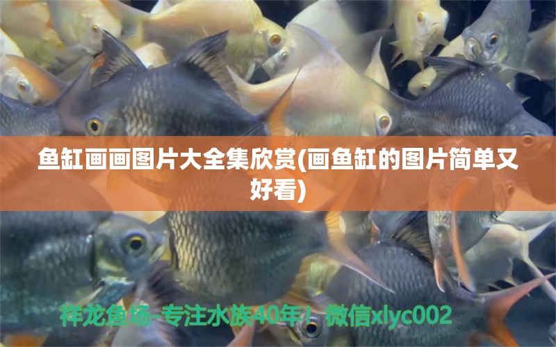 魚缸畫畫圖片大全集欣賞(畫魚缸的圖片簡單又好看) 馬拉莫寶石魚