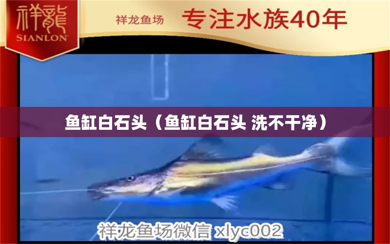 魚(yú)缸白石頭（魚(yú)缸白石頭 洗不干凈）