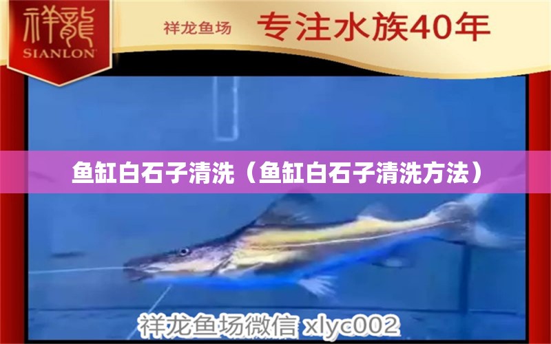 魚缸白石子清洗（魚缸白石子清洗方法）