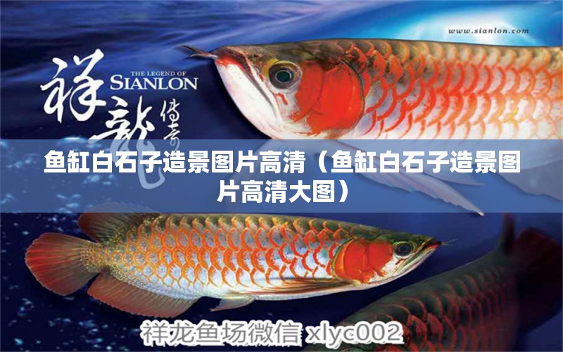 魚缸白石子造景圖片高清（魚缸白石子造景圖片高清大圖）