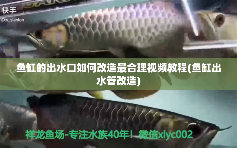 魚缸的出水口如何改造最合理視頻教程(魚缸出水管改造) 祥龍龍魚專用水族燈 第1張