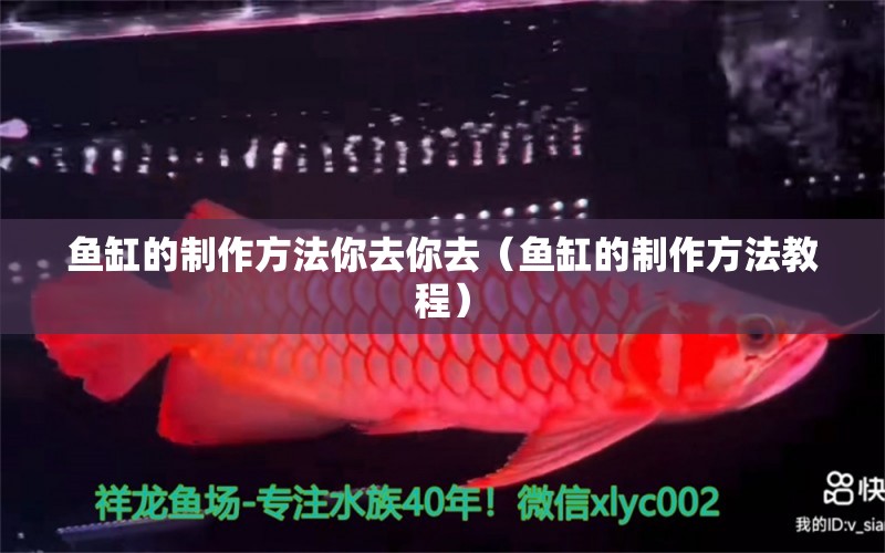 魚缸的制作方法你去你去（魚缸的制作方法教程） 觀賞魚市場（混養(yǎng)魚）