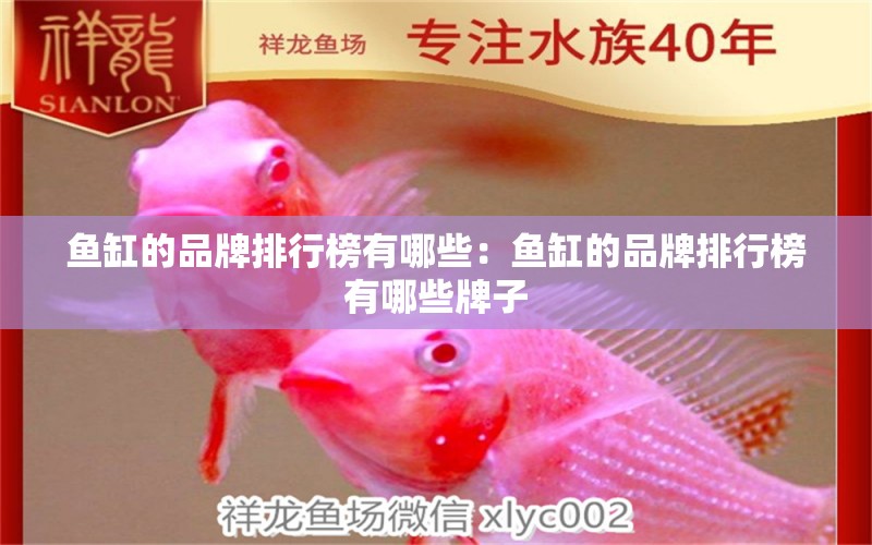 魚缸的品牌排行榜有哪些：魚缸的品牌排行榜有哪些牌子