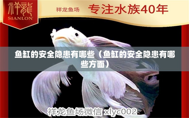 魚缸的安全隱患有哪些（魚缸的安全隱患有哪些方面） 祥龍水族醫(yī)院