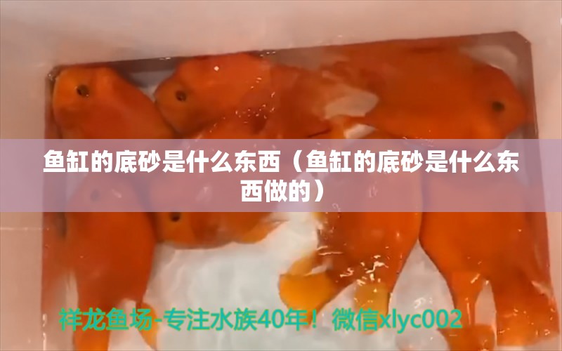 魚缸的底砂是什么東西（魚缸的底砂是什么東西做的） 銀龍魚苗