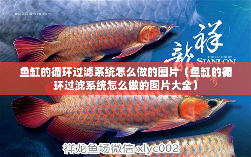 魚缸的循環(huán)過濾系統(tǒng)怎么做的圖片（魚缸的循環(huán)過濾系統(tǒng)怎么做的圖片大全） 其他品牌魚缸