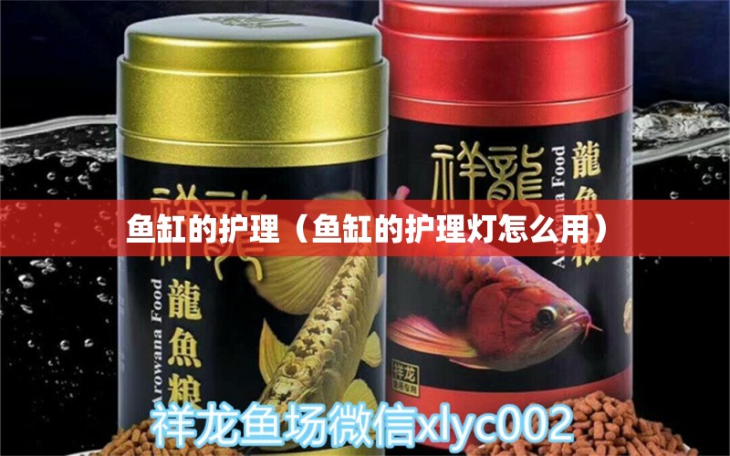 魚缸的護理（魚缸的護理燈怎么用）