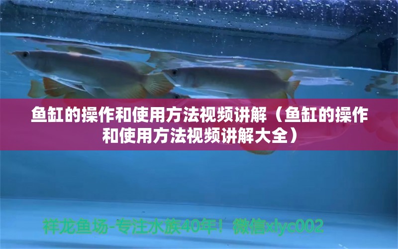 魚(yú)缸的操作和使用方法視頻講解（魚(yú)缸的操作和使用方法視頻講解大全）