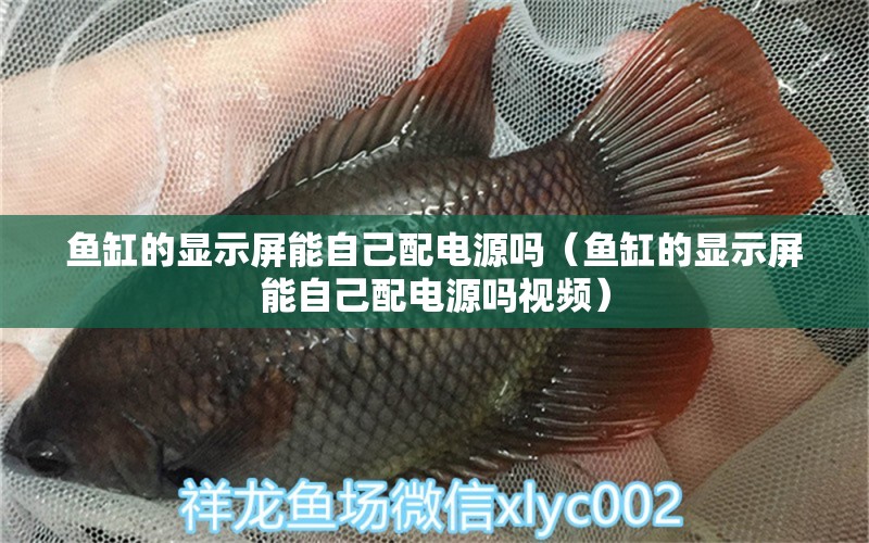 魚缸的顯示屏能自己配電源嗎（魚缸的顯示屏能自己配電源嗎視頻）