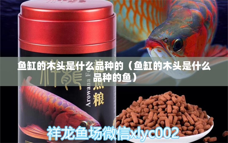 魚缸的木頭是什么品種的（魚缸的木頭是什么品種的魚） 其他品牌魚缸