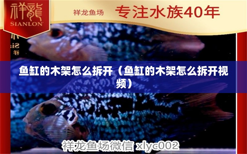 魚缸的木架怎么拆開（魚缸的木架怎么拆開視頻） 元寶鳳凰魚