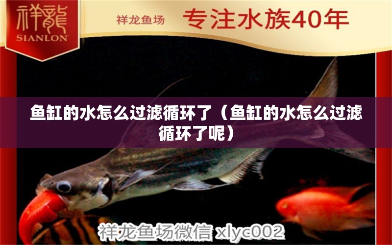 魚缸的水怎么過濾循環(huán)了（魚缸的水怎么過濾循環(huán)了呢）