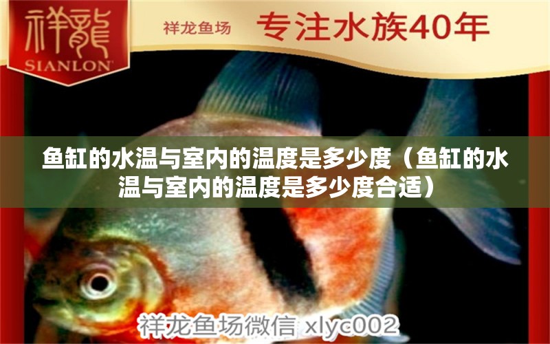 魚缸的水溫與室內(nèi)的溫度是多少度（魚缸的水溫與室內(nèi)的溫度是多少度合適） 印尼虎苗