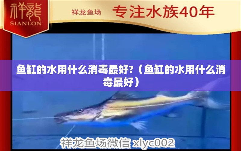 魚缸的水用什么消毒最好?（魚缸的水用什么消毒最好）