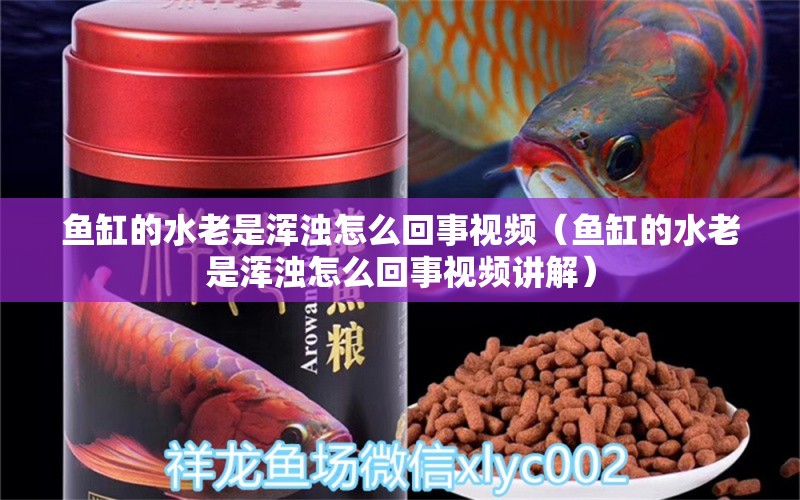 魚(yú)缸的水老是渾濁怎么回事視頻（魚(yú)缸的水老是渾濁怎么回事視頻講解）