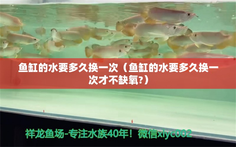 魚缸的水要多久換一次（魚缸的水要多久換一次才不缺氧?）