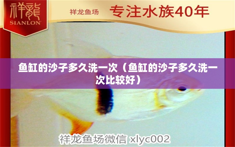 魚缸的沙子多久洗一次（魚缸的沙子多久洗一次比較好）