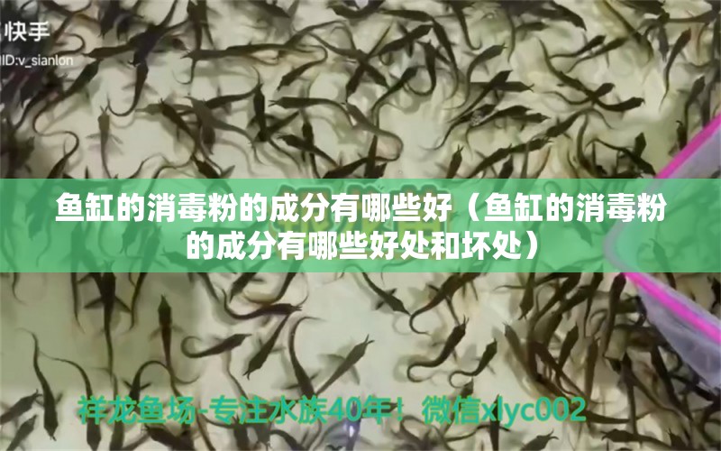 魚缸的消毒粉的成分有哪些好（魚缸的消毒粉的成分有哪些好處和壞處）