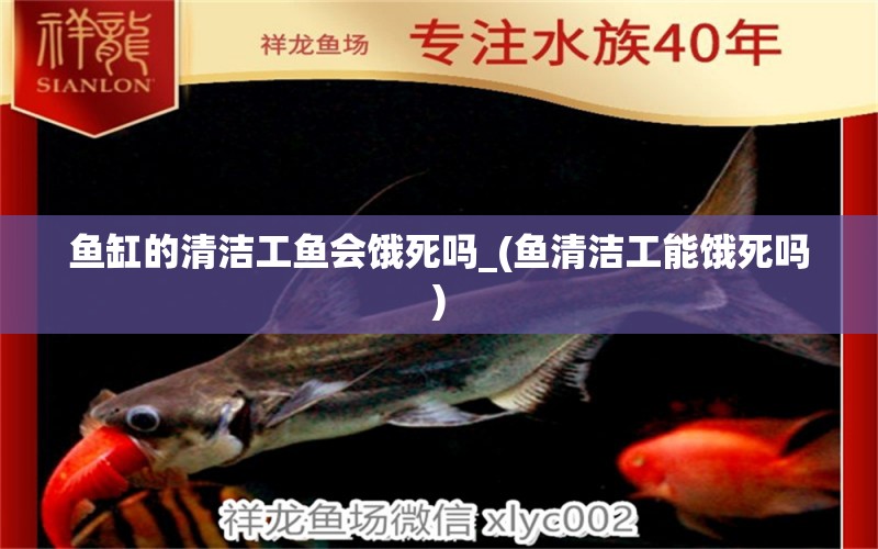 魚缸的清潔工魚會(huì)餓死嗎_(魚清潔工能餓死嗎) 委內(nèi)瑞拉奧里諾三間魚苗