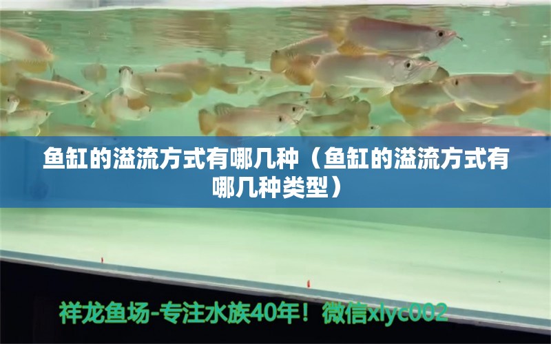 魚缸的溢流方式有哪幾種（魚缸的溢流方式有哪幾種類型）