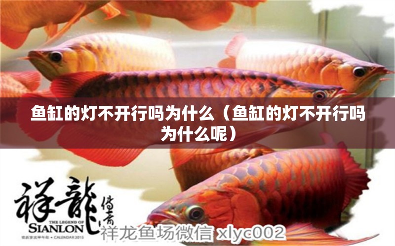 魚缸的燈不開行嗎為什么（魚缸的燈不開行嗎為什么呢）