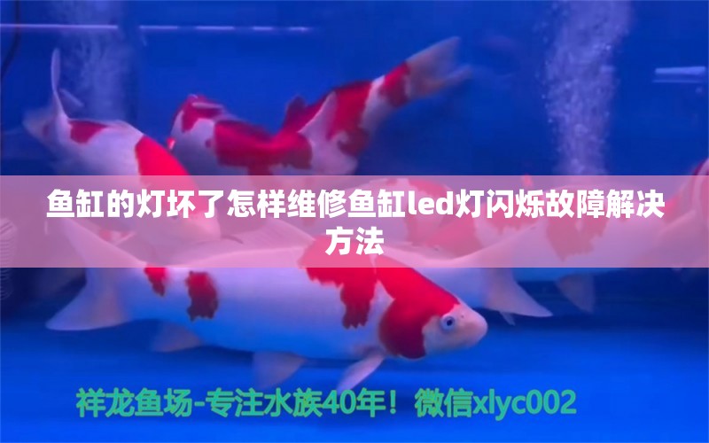 魚缸的燈壞了怎樣維修魚缸led燈閃爍故障解決方法